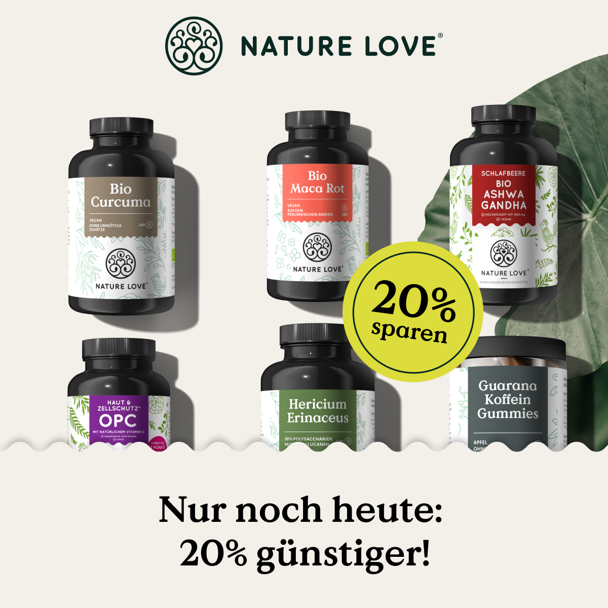 Nur noch heute 20% Rabatt